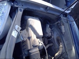 2004 TOYOTA TUNDRA, GOLD, SR5 MODEL, CREW CAB, 4.7L, AT, 2WD. Z25216